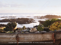 Filename=5_star_hotel_shanti_maurice_beach_landscape.jpg
Filesize=143KiB
Dimensions=800x600
Date added=Aug 04, 2010 5_star_hotel_shanti_maurice_beach_landscape.jpg
