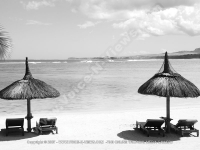 Filename=5_star_hotel_shanti_maurice_beach_parasols.jpg
Filesize=104KiB
Dimensions=800x600
Date added=Aug 04, 2010 5_star_hotel_shanti_maurice_beach_parasols.jpg