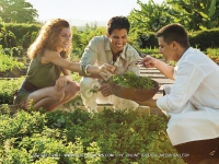 Filename=5_star_hotel_shanti_maurice_herb_in_the_garden.jpg
Filesize=194KiB
Dimensions=800x600
Date added=Aug 04, 2010 5_star_hotel_shanti_maurice_herb_in_the_garden.jpg