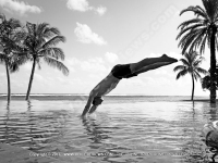 Filename=5_star_hotel_shanti_maurice_pool_diver.jpg
Filesize=138KiB
Dimensions=800x600
Date added=Aug 04, 2010 5_star_hotel_shanti_maurice_pool_diver.jpg