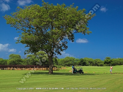 tamarina golf spa and beach club mauritius golfer swing
