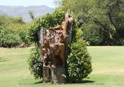 tamarina golf spa and beach club mauritius tree sculpture
