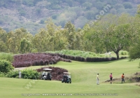 Filename=tamarina_golf_spa_and_beach_club_mauritius_club_car_golfers_and_general_view.jpg
Filesize=101KiB
Dimensions=640x450
Date added=Feb 11, 2009 tamarina_golf_spa_and_beach_club_mauritius_club_car_golfers_and_general_view.jpg