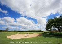Filename=tamarina_golf_spa_and_beach_club_mauritius_golfer_stuck_in_bunker.jpg
Filesize=83KiB
Dimensions=640x450
Date added=Feb 11, 2009 tamarina_golf_spa_and_beach_club_mauritius_golfer_stuck_in_bunker.jpg