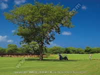 Filename=tamarina_golf_spa_and_beach_club_mauritius_golfer_swing.jpg
Filesize=190KiB
Dimensions=800x600
Date added=Feb 11, 2009 tamarina_golf_spa_and_beach_club_mauritius_golfer_swing.jpg