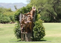 Filename=tamarina_golf_spa_and_beach_club_mauritius_tree_sculpture.jpg
Filesize=119KiB
Dimensions=640x450
Date added=Feb 11, 2009 tamarina_golf_spa_and_beach_club_mauritius_tree_sculpture.jpg