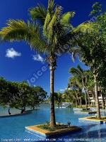 Filename=the_grand_mauritian_a_luxury_collection_resort_and_spa_mauritius_pool_area.jpg
Filesize=225KiB
Dimensions=600x800
Date added=Aug 18, 2010 the_grand_mauritian_a_luxury_collection_resort_and_spa_mauritius_pool_area.jpg