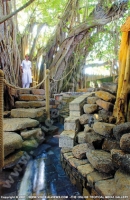 Filename=le_canonnier_hotel_mauritius_spa_therapist.jpg
Filesize=80KiB
Dimensions=274x420
Date added=Sep 23, 2008 le_canonnier_hotel_mauritius_spa_therapist.jpg