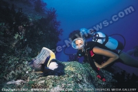 Filename=le_mauricia_hotel_mauritius_diving.jpg
Filesize=131KiB
Dimensions=760x510
Date added=Sep 24, 2008 le_mauricia_hotel_mauritius_diving.jpg