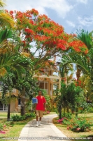 Filename=le_victoria_hotel_mauritius_beach_boy.jpg
Filesize=89KiB
Dimensions=281x420
Date added=Sep 23, 2008 le_victoria_hotel_mauritius_beach_boy.jpg