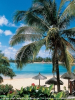 Filename=legends_hotel_mauritius_beach_view.jpg
Filesize=292KiB
Dimensions=600x800
Date added=Aug 21, 2008 legends_hotel_mauritius_beach_view.jpg