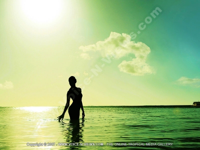 diva maldives hotel maldives sea and sunset view
