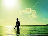 Filename=diva_maldives_hotel_maldives_sea_and_sunset_view.jpg
Filesize=136KiB
Dimensions=800x600
Date added=Jan 29, 2009 diva_maldives_hotel_maldives_sea_and_sunset_view.jpg