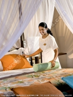 Filename=diva_maldives_hotel_maldives_service.jpg
Filesize=126KiB
Dimensions=600x800
Date added=Jan 29, 2009 diva_maldives_hotel_maldives_service.jpg