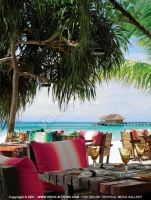 Filename=kanuhura_resort_maldives_thin_rah_restaurant.jpg
Filesize=140KiB
Dimensions=474x627
Date added=Feb 03, 2009 kanuhura_resort_maldives_thin_rah_restaurant.jpg