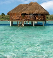 Filename=kanuhura_resort_maldives_water_villa_exterior_view.jpg
Filesize=114KiB
Dimensions=480x522
Date added=Feb 03, 2009 kanuhura_resort_maldives_water_villa_exterior_view.jpg