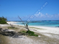 Filename=apartment_cilaos_mauritius_beach_view.jpg
Filesize=93KiB
Dimensions=800x600
Date added=Feb 27, 2008 apartment_cilaos_mauritius_beach_view.jpg