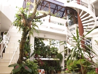 Filename=les_bougainvillers_apartments_mauritius_garden_and_stairs_view.jpg
Filesize=210KiB
Dimensions=800x600
Date added=Feb 13, 2009 les_bougainvillers_apartments_mauritius_garden_and_stairs_view.jpg