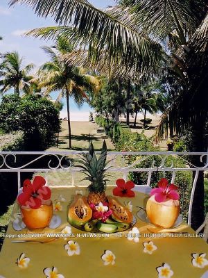 budget guesthouse pointe d'esny mauritius ref 165 balcony view
Budget Guesthouse Pointe d'Esny Mauritius Ref 165 view from balcony. On the balcony is a table decorated with flowers and set with a plate of Mauritius' delicious fruit; pineapple, banana, papaya, coconuts. From the balcony is a view of the garden and its many palm trees and vegetation.
Keywords: Noix de Coco, balcony, view, palm trees, beach, sea, garden, palm trees, table, fruit, pineapple, coconuts, papaya, bananas, flowers, vegetation