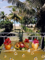 Filename=bed_and_breakfast_noix_de_coco_mauritius_balcony_view.jpg
Filesize=176KiB
Dimensions=600x800
Date added=Feb 27, 2008 bed_and_breakfast_noix_de_coco_mauritius_balcony_view.jpg