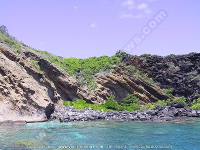 paille en queue flying over cliff mauritius
