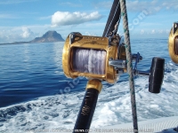 Filename=big_game_fishing_reel_and_morne_mountain_view.jpg
Filesize=172KiB
Dimensions=800x600
Date added=Jun 19, 2008 big_game_fishing_reel_and_morne_mountain_view.jpg
