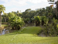 Filename=botanical_garden_curepipe_lake_mauritius.jpg
Filesize=203KiB
Dimensions=800x600
Date added=Jun 19, 2008 botanical_garden_curepipe_lake_mauritius.jpg
