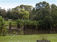 Filename=botanical_garden_curepipe_lake_view_mauritius.jpg
Filesize=179KiB
Dimensions=800x600
Date added=Jun 19, 2008 botanical_garden_curepipe_lake_view_mauritius.jpg