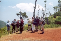 Filename=group_of_tourist_hiking_in_mauritus.jpg
Filesize=158KiB
Dimensions=800x537
Date added=Jun 19, 2008 group_of_tourist_hiking_in_mauritus.jpg