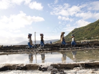 Filename=salt_pans_tamarin_mauritius.jpg
Filesize=121KiB
Dimensions=800x600
Date added=Jun 19, 2008 salt_pans_tamarin_mauritius.jpg