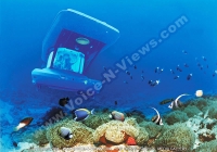sub_marine_mauritius.jpg