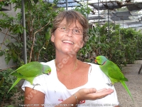 Filename=woman_and_parakeet_mauritius.jpg
Filesize=163KiB
Dimensions=800x600
Date added=Jun 19, 2008 woman_and_parakeet_mauritius.jpg