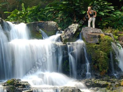 guest house eureka house mauritius waterfall view
A magnificent and beautiful view of a waterfall found at the back of the Eureka guesthouse estate. The guests can also enjoy walks in the garden. Surrounded by its magnificent garden and waterfalls the guesthouse is the ideal place for those seeking calm and quietness.
Keywords: Eureka guesthouse, estate, waterfall, rocks, trees, garden, calm, quiteness