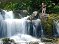 Filename=guest_house_eureka_house_mauritius_waterfall_view.jpg
Filesize=125KiB
Dimensions=800x600
Date added=Feb 27, 2008 guest_house_eureka_house_mauritius_waterfall_view.jpg