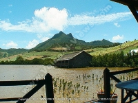 Filename=guest_house_le_barachois_mauritius_generaL_view_from_balcony.jpg
Filesize=151KiB
Dimensions=800x600
Date added=Feb 27, 2008 guest_house_le_barachois_mauritius_generaL_view_from_balcony.jpg