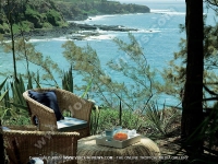 Filename=lodge_andrea_mauritus_beach_view_from_the_garden.jpg
Filesize=157KiB
Dimensions=800x600
Date added=Feb 27, 2008 lodge_andrea_mauritus_beach_view_from_the_garden.jpg