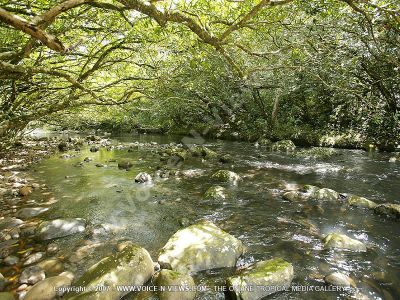 lodge exil mauritius river view
The Exil Lodges offers a great view of the Savanne River. Hike with a guide in the forest and by the river.
Keywords: Exil lodges, Savanne river, hike, forest
