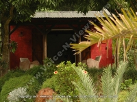 Filename=general_view_of_the_garden_and_the_terrance_of_the_lodge_ref_159_mauritius.jpg
Filesize=183KiB
Dimensions=800x600
Date added=Sep 01, 2010 general_view_of_the_garden_and_the_terrance_of_the_lodge_ref_159_mauritius.jpg