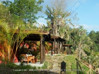 Filename=general_view_of_the_lodges_of_ref_159_mauritius.jpg
Filesize=221KiB
Dimensions=800x600
Date added=Sep 01, 2010 general_view_of_the_lodges_of_ref_159_mauritius.jpg
