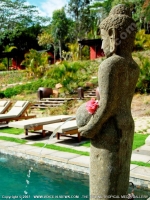 Filename=premium_mountain_chalets_chamarel_mauritius_ref_159_pool_side.jpg
Filesize=162KiB
Dimensions=600x800
Date added=Sep 01, 2010 premium_mountain_chalets_chamarel_mauritius_ref_159_pool_side.jpg