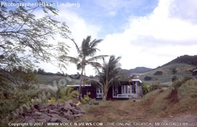 house_in_the_middle_of_sugar_cane_field_in_fron_of_mountain_range_mauritius.jpg