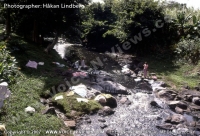 Filename=mauritius_old_time_photo_woman_washing_clothes_in_the_river.jpg
Filesize=144KiB
Dimensions=640x437
Date added=Mar 10, 2010 mauritius_old_time_photo_woman_washing_clothes_in_the_river.jpg