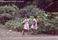 Filename=young_girls_going_to_school_in_mauritius_in_the_year_1977.jpg
Filesize=124KiB
Dimensions=640x443
Date added=Mar 10, 2010 young_girls_going_to_school_in_mauritius_in_the_year_1977.jpg