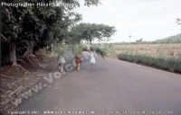 Filename=young_mauritian_girls_carrying_grass_on_their_head.jpg
Filesize=90KiB
Dimensions=640x411
Date added=Mar 10, 2010 young_mauritian_girls_carrying_grass_on_their_head.jpg