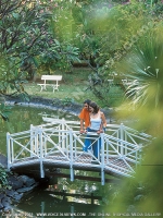 merville_beach_hotel_mauritius_couple_on_the_bridge.jpg
