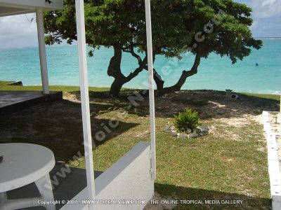 studio tropicana mauritius seaside view
View of the seaside form the Tropicana Guesthouse. In the front of the gueshouse is a tree where the guests can sit under, relax and enjoy the view of the sea. The guesthouse is about one kilometre away from famous Blue Bay Marine Park, where glass bottom boat tours invite to discover colourful fish and ancient coral. The environment is ideal for all kinds of water sports, predominantly swimming, snorkelling, wind- and kite surfing.
Keywords: Tropicana guesthouse, seaside view, tree, Blue Bay Marine Park, glass bottom, boats, fish, coral, water, sports, swimming, snorkelling, wind-kite surfing