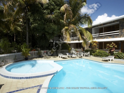 superior_apartment_mont_choisy_mauritius_ref_111_swimming_pool.jpg