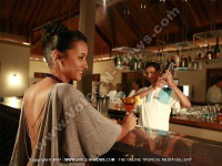 Filename=tamassa_hotel_mauritius_lady_at_the_bar.jpg
Filesize=127KiB
Dimensions=800x600
Date added=Aug 25, 2008 tamassa_hotel_mauritius_lady_at_the_bar.jpg