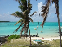 Filename=beach_villa-millionaire_mauritius_beach_view_from_balcony.jpg
Filesize=152KiB
Dimensions=800x600
Date added=Feb 27, 2008 beach_villa-millionaire_mauritius_beach_view_from_balcony.jpg