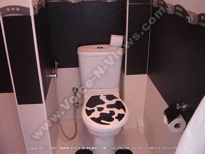 villa 4 heavens mauritius wc view
Four Heavens Villa WC is decorated in black and white.
Keywords: Four Heavens Villa, WC, black, white